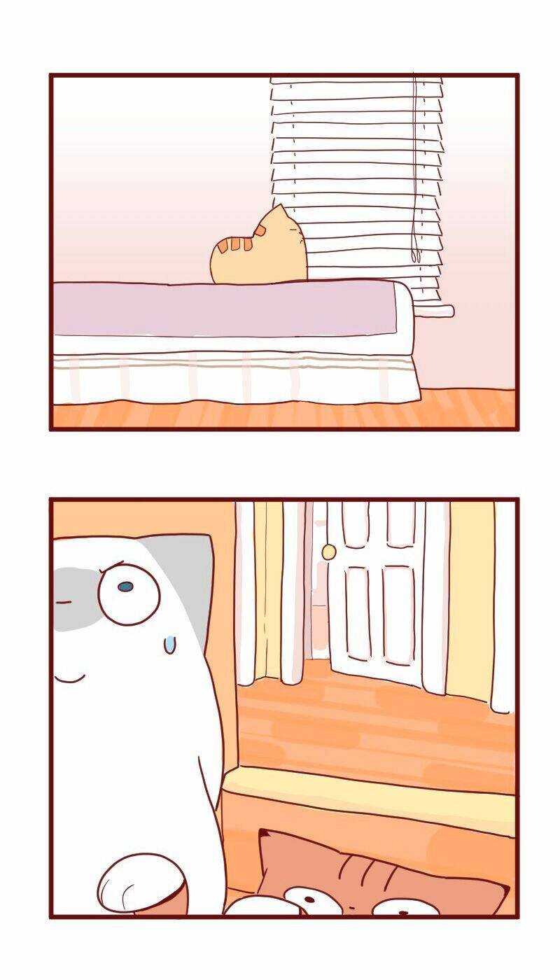 saphie: chú mèo một mắt chapter 10 16