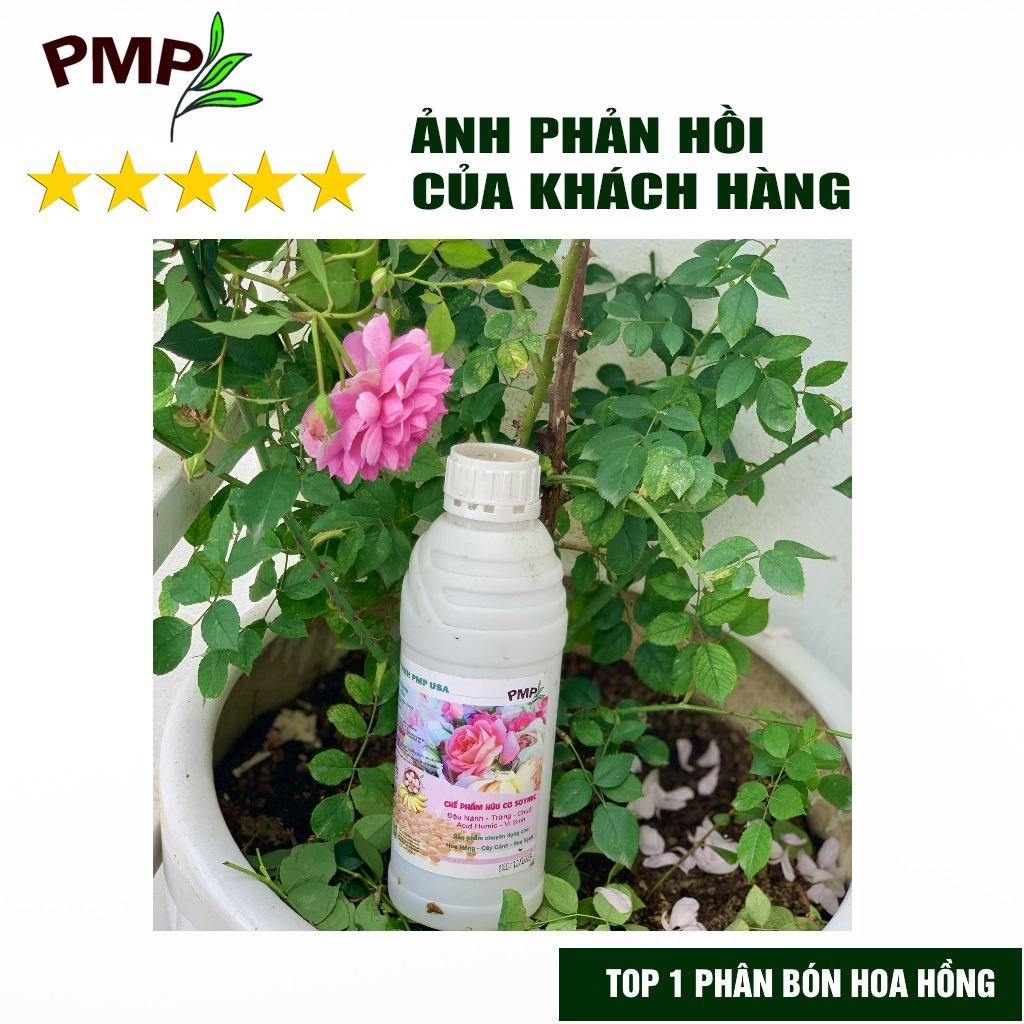 Phân Bón Hoa Hồng Combo Phân Đậu Nành Soymic - Dịch Chuối Humic ( 2 Chai x 1 L)