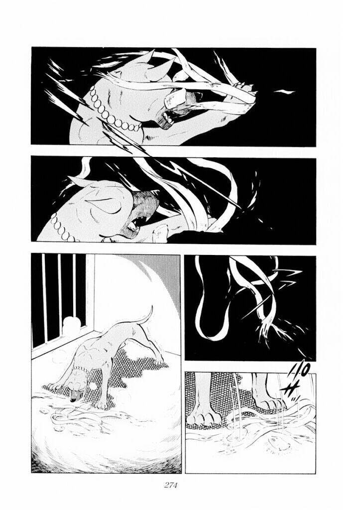 chú chó có nghĩa - ginga nagareboshi gin chapter 30 32