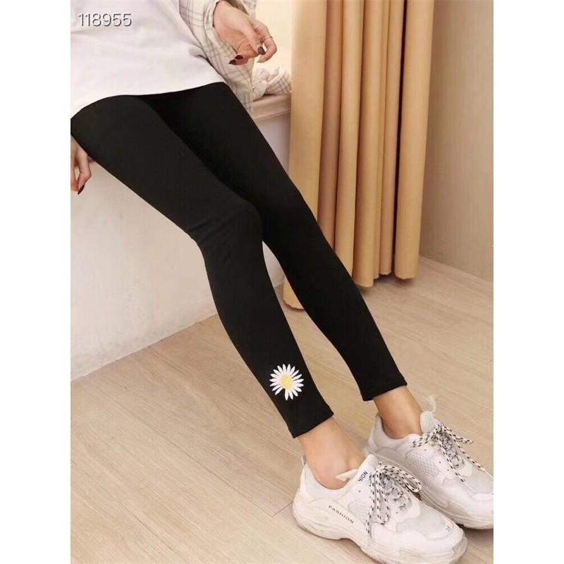 Quần Legging Tăm Hoa Cúc Mẫu Mới