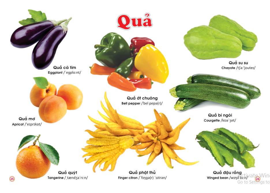 Sách - Từ điển bằng tranh Rau Củ Quả - ndbooks