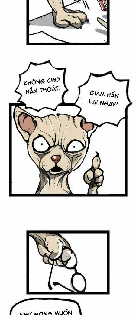 earth, human, and animal chapter 21 19