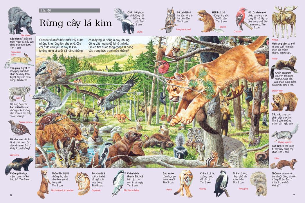 Thử Tài Tìm Kiếm - Động Vật