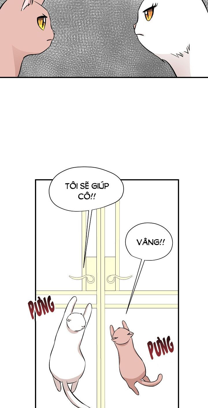 cuộc sống kỳ thú chapter 45 14