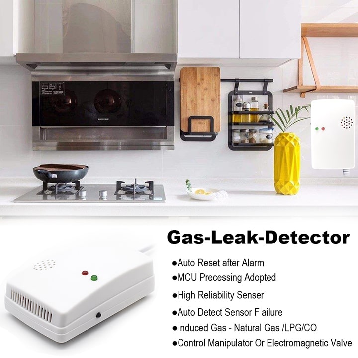 Máy báo rò rỉ khí gas V1