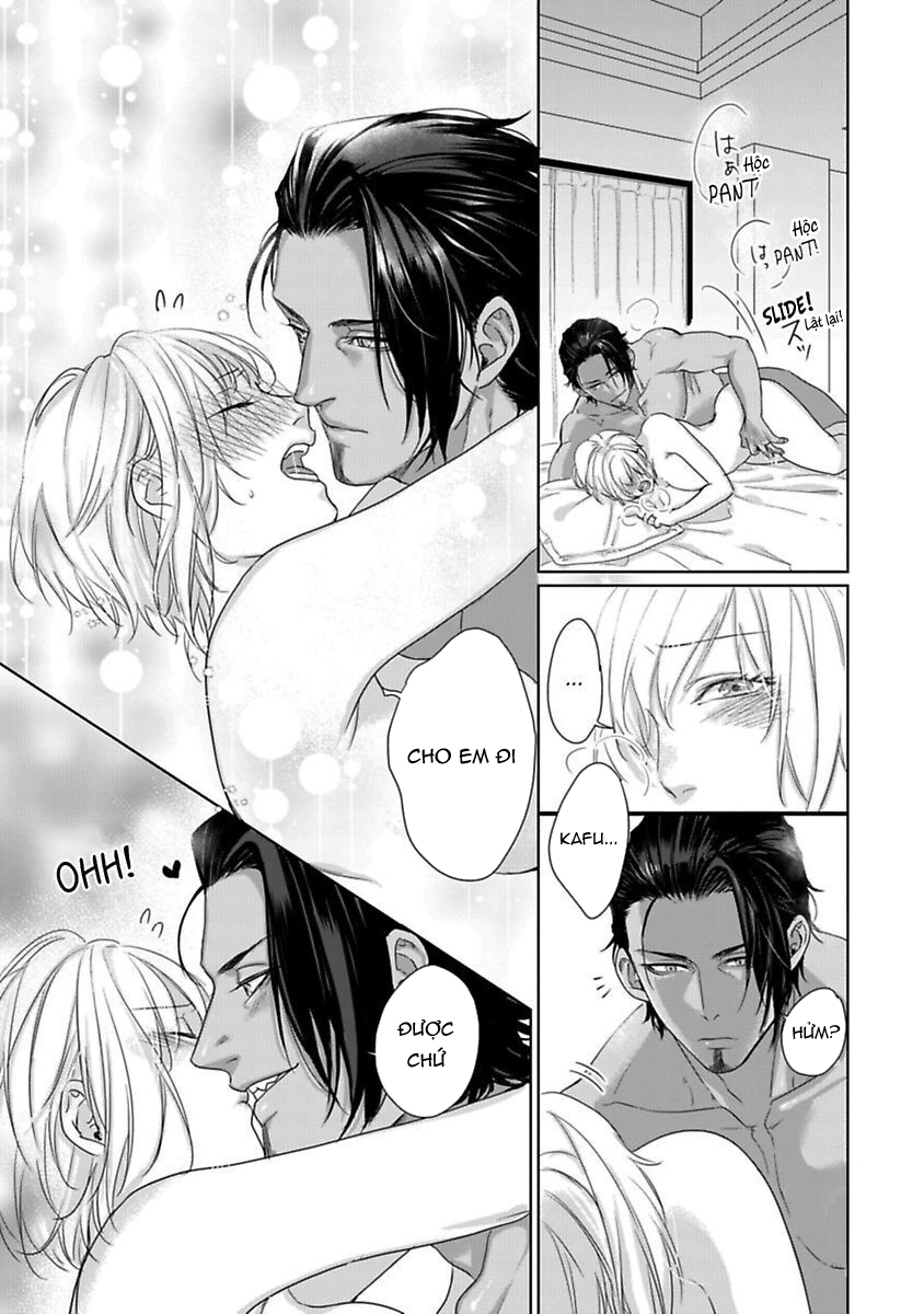 cầu chúa xin hãy cho tôi một người chồng chapter 11.2 11
