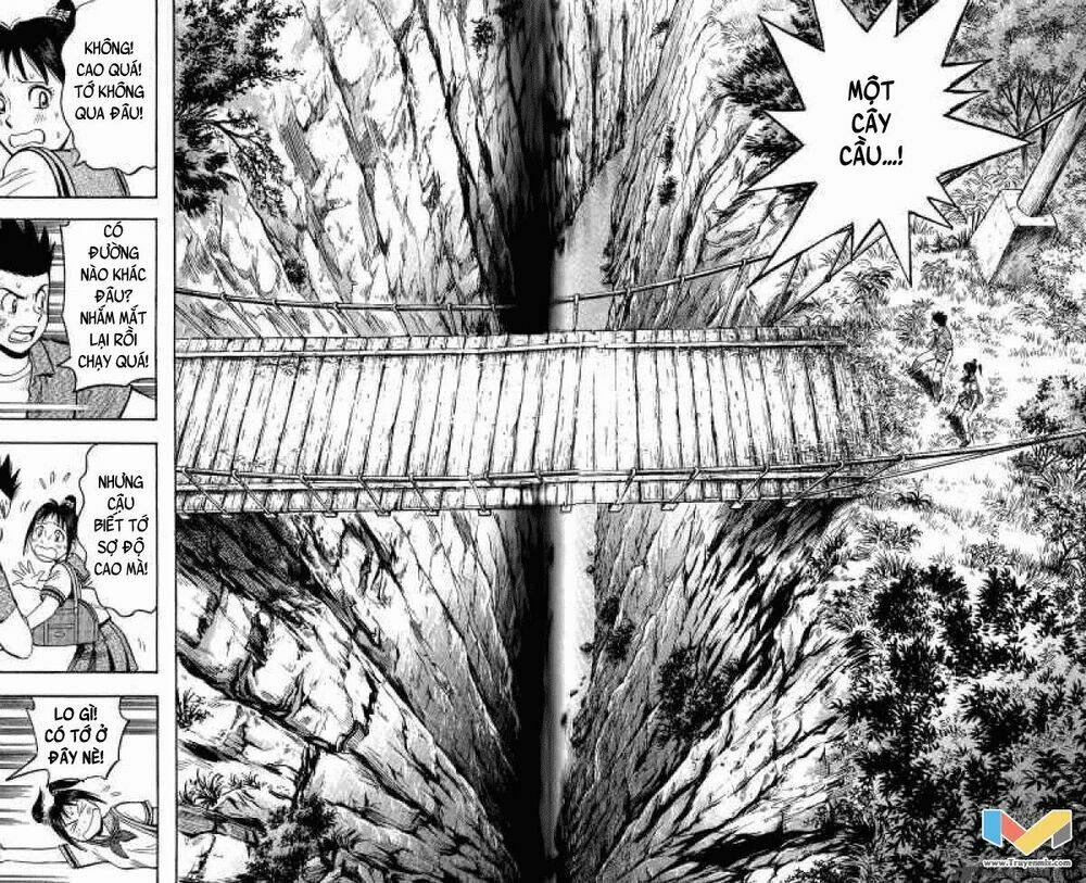 animal sense chapter 10 28