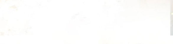 tôi trở thành vợ cũ của nam chính chapter 9.2 40