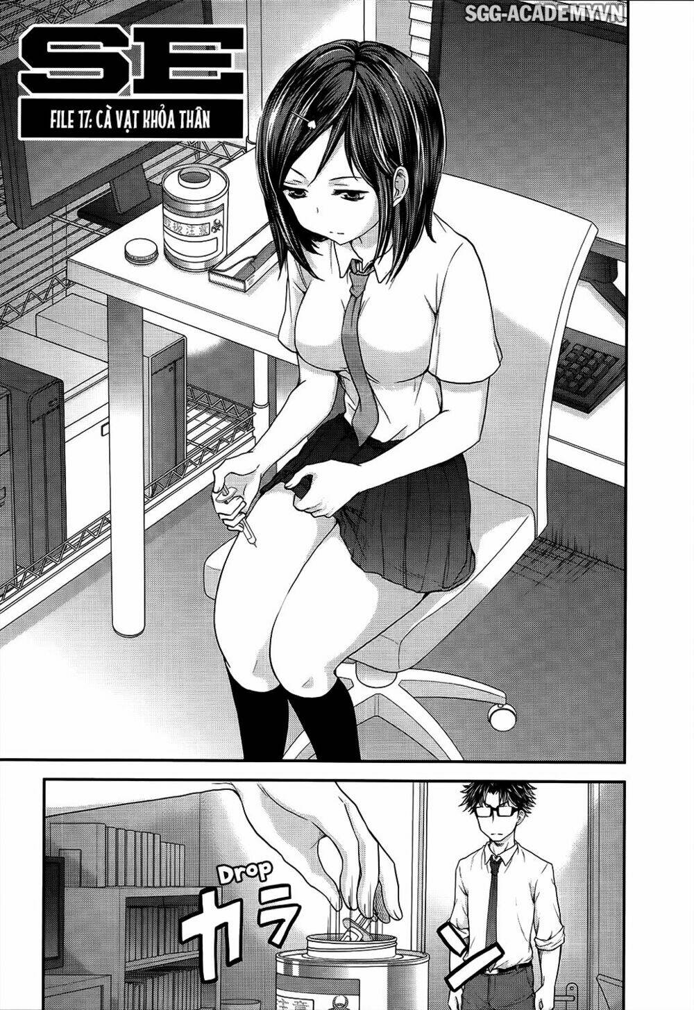 system engineer chapter 17 1