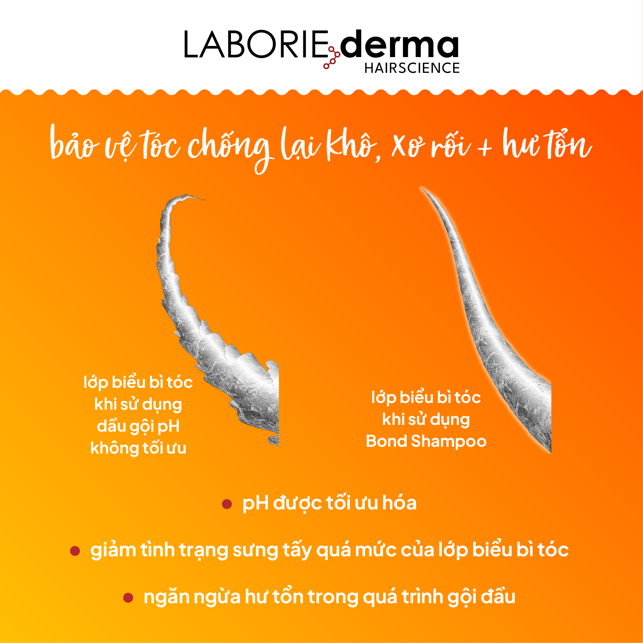 Dầu gội hỗ trợ phục hồi, tăng cường chắc khỏe tóc LABORIE derma Bond Shampoo 250ml