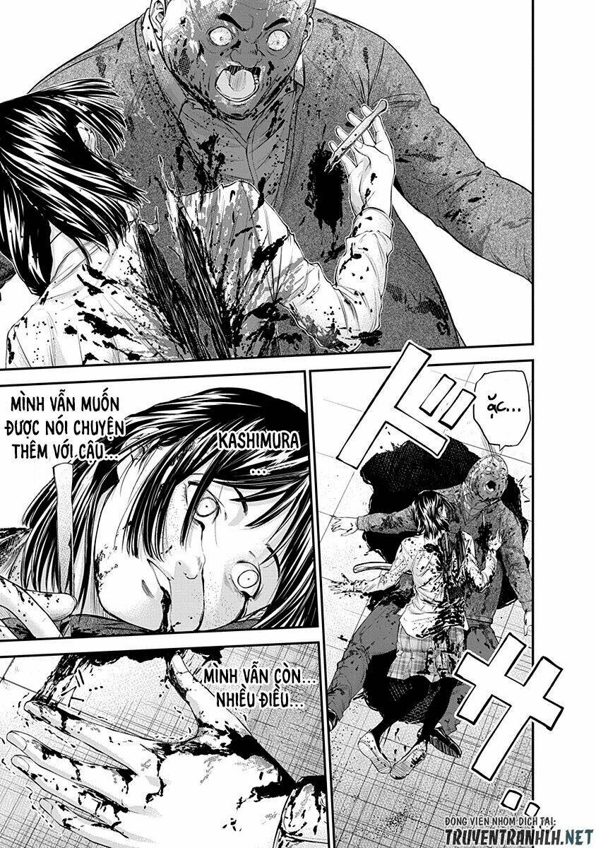 signal 100 chapter 17 11