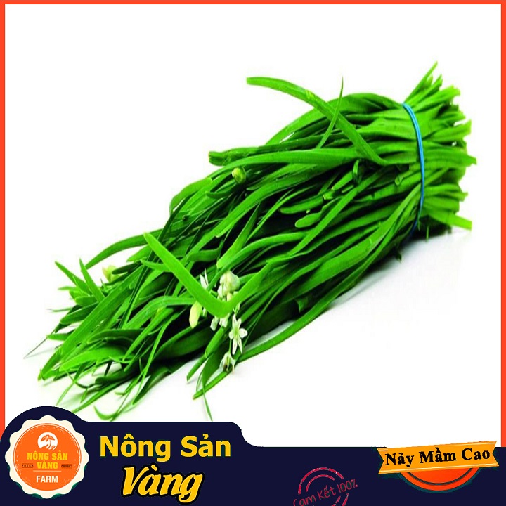 Hạt giống Rau Hẹ Ta ( Gói 1 Gram ) - Nông Sản Vàng