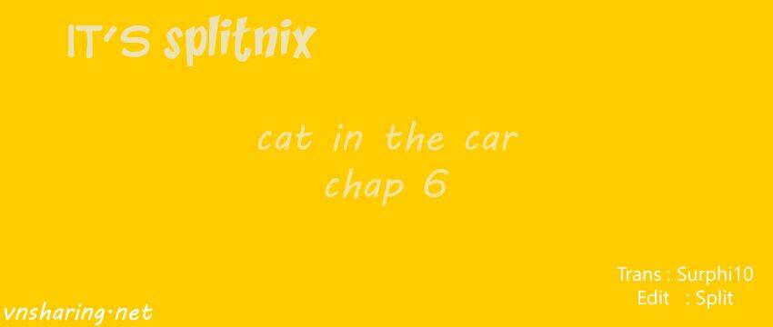 cat in the car chapter 6 1