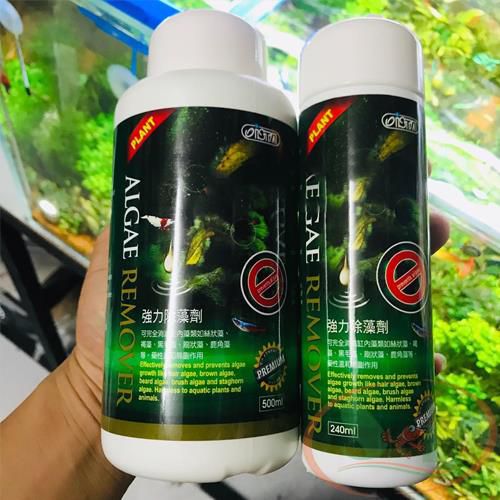 Diệt rêu hại Ista Premium Algae Remover phòng ngừa ức chế rêu tảo hại bể cá tép thủy sinh