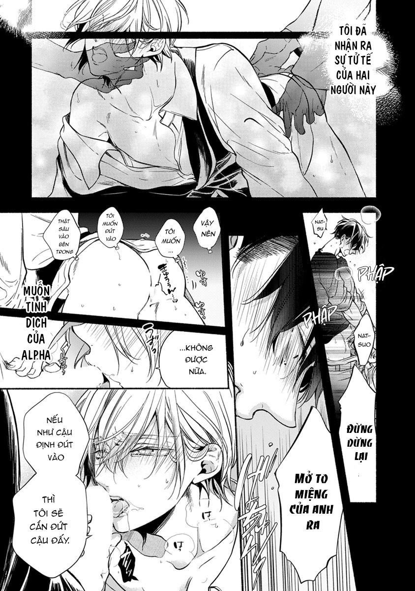 omega giả vờ kiên cường đó là bạn tình của tôi chapter 1 49