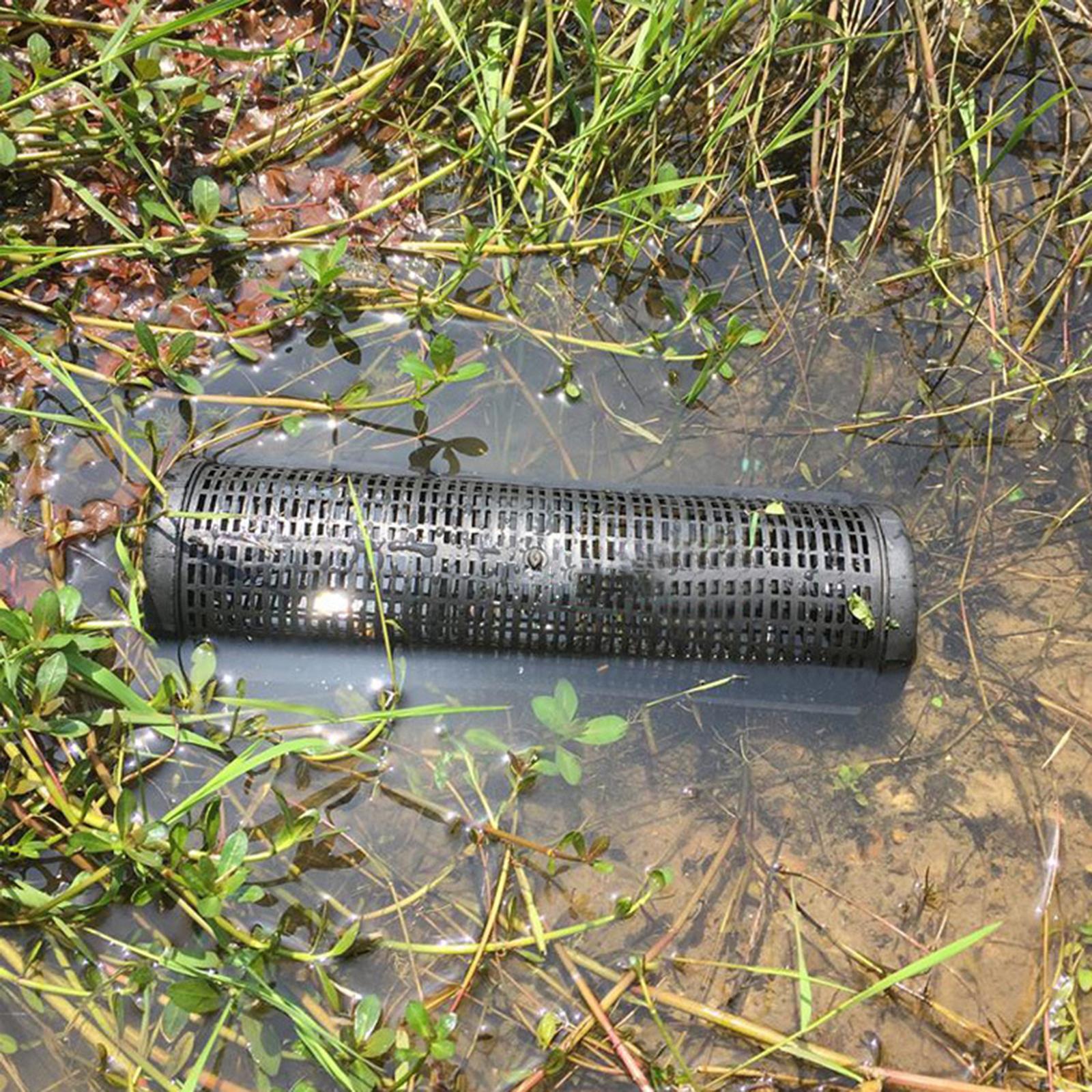 Fishing Bait Trap Eel Loach Trap Lightweight Cast Dip Cage for Shrimp Prawn