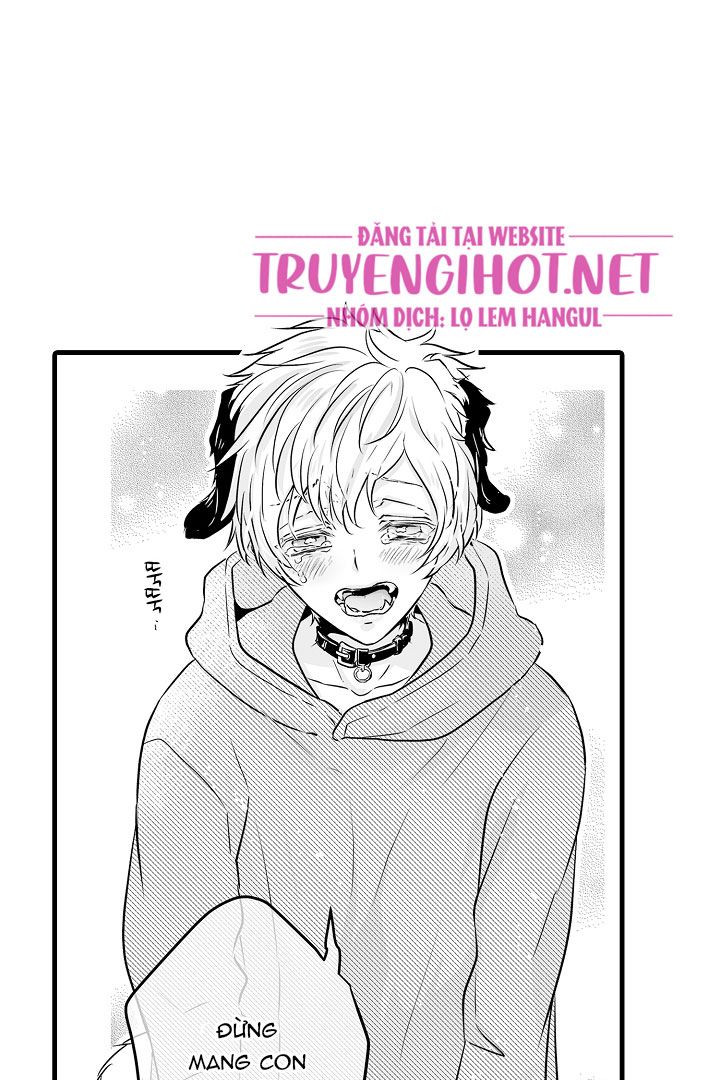 gấu ngủ đông chapter 1.3 2