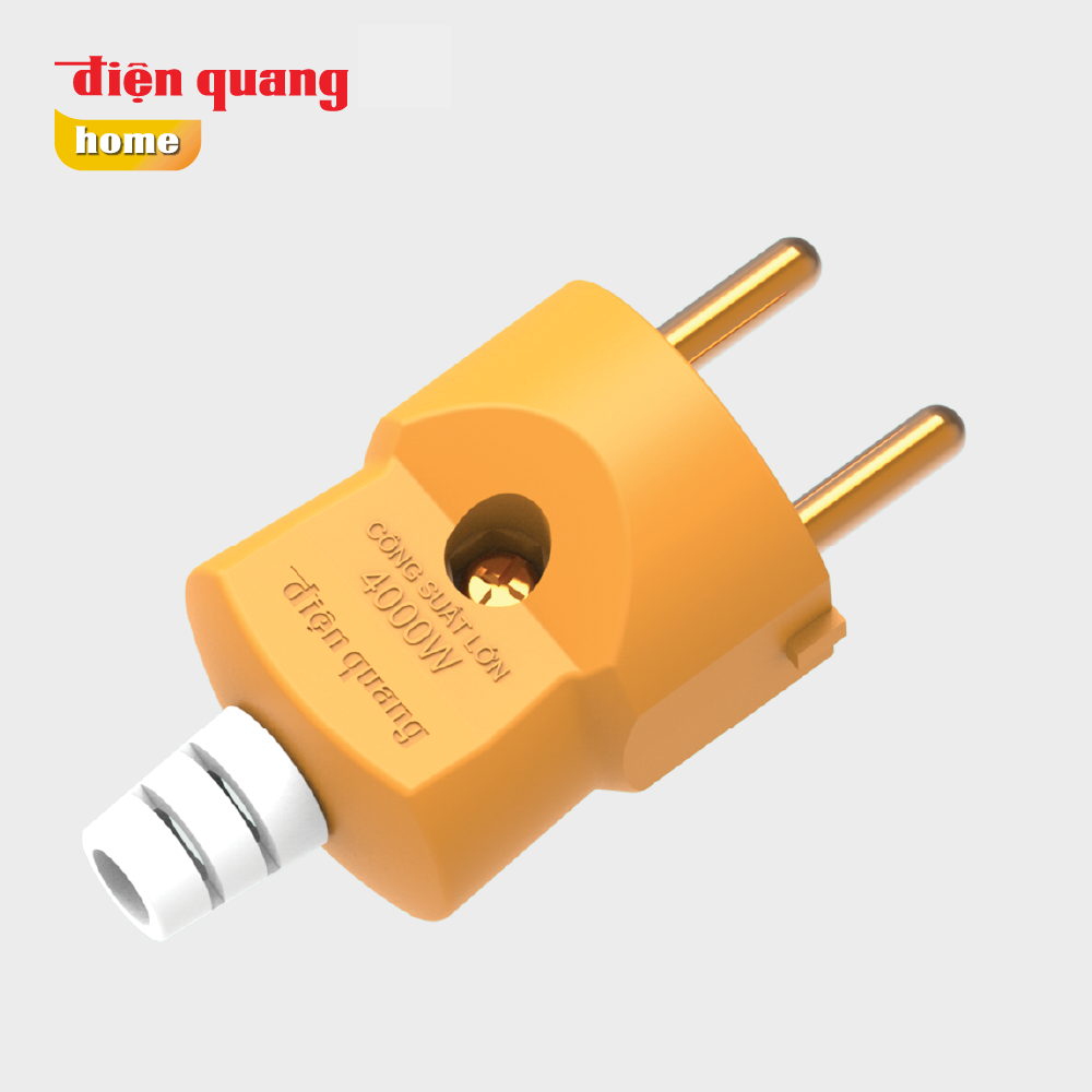 Phích cắm công suất lớn Điện Quang ECO ĐQ EPR HP R.2PN ECO