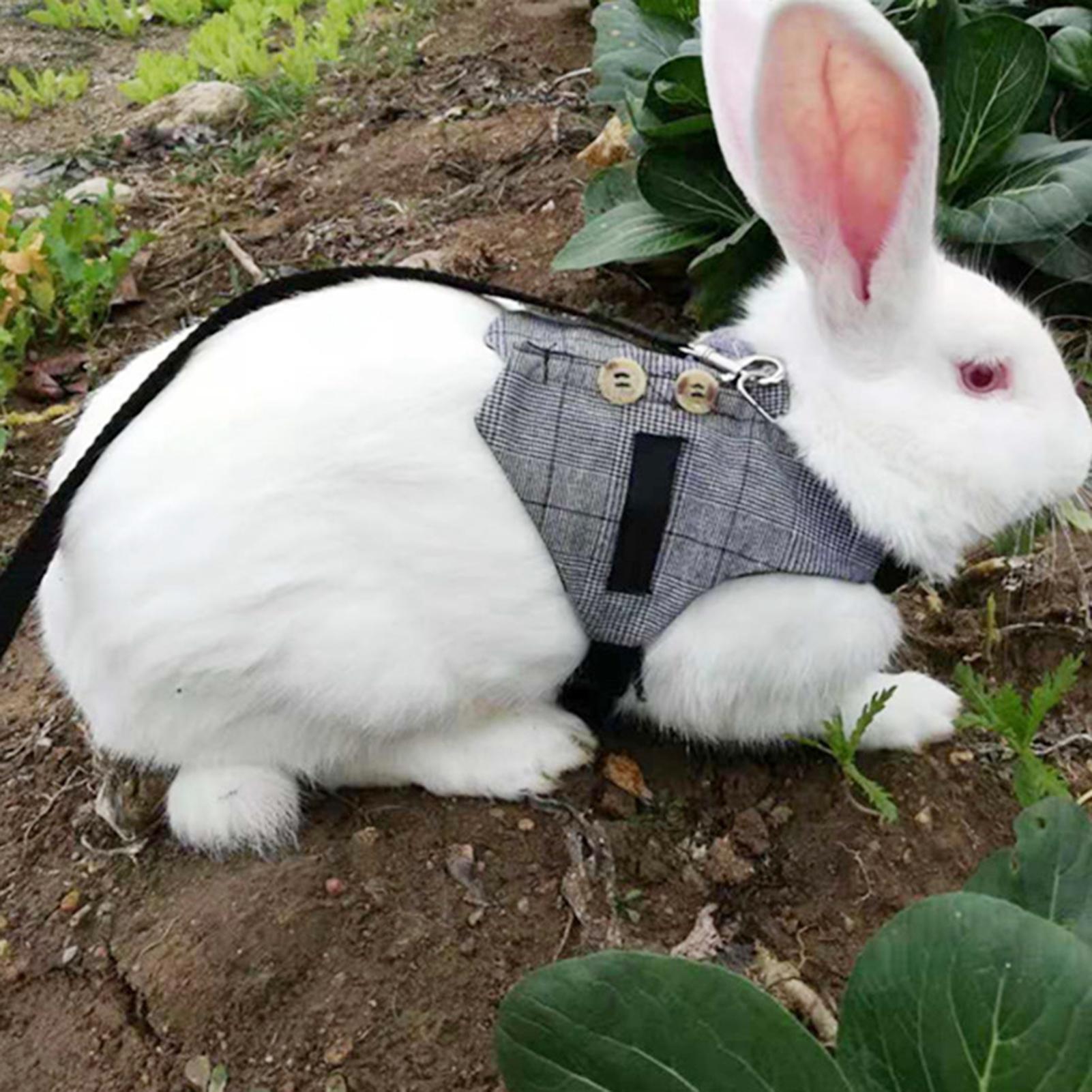 Fashionable Comfortable Rabbit Suit Harness Leash Cute Bunny Vest Harness and Leash Set With Button Decor