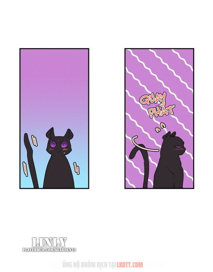 tôi đang nuôi dưỡng một con quái thú chapter 26 20