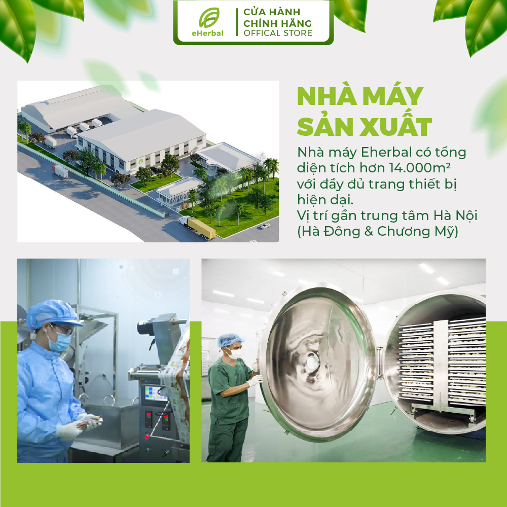 Bột Rau Má mật ong sấy thăng hoa