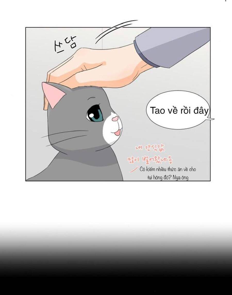 idol và sếp, em yêu ai? chapter 27 7