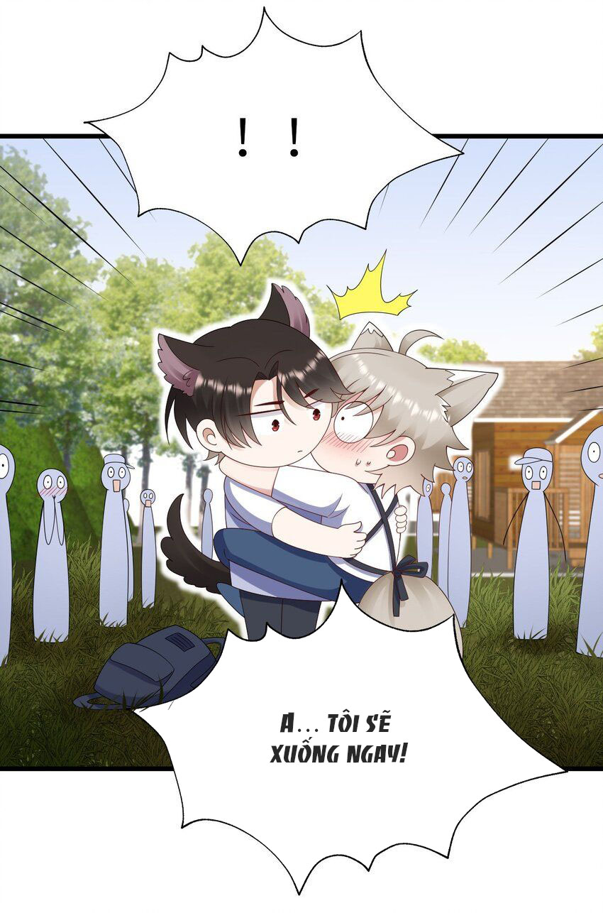 tức thời phạm quy [ tức thì vi quy ] chapter 63 4