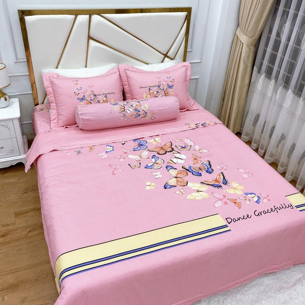 Bộ Ga Phủ Cotton Living