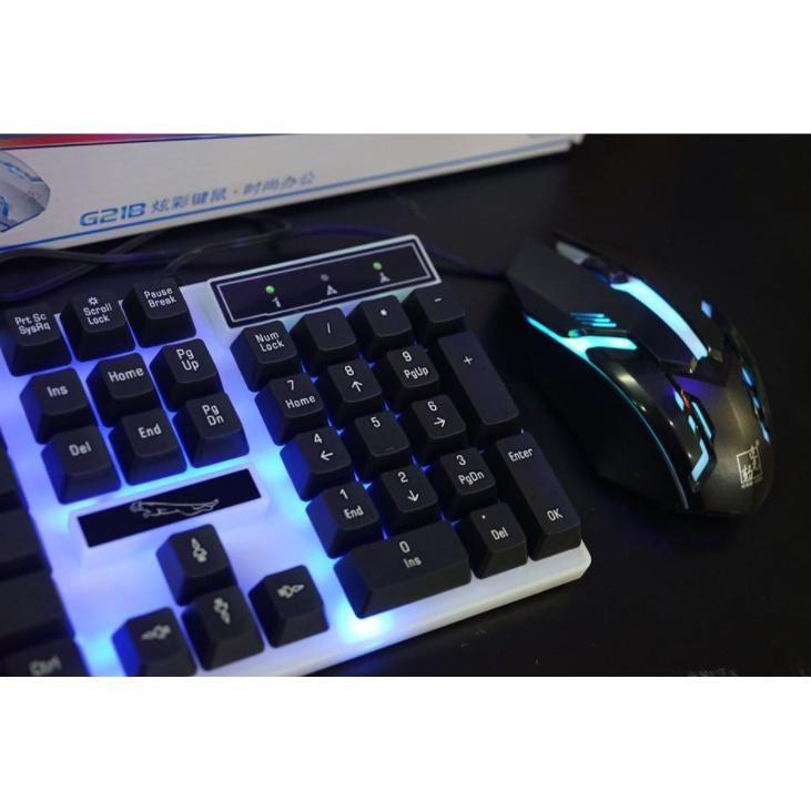 Bộ Bàn phím kèm chuột gaming G21 giả cơ chế độ bật tắt đèn led giá rẻ