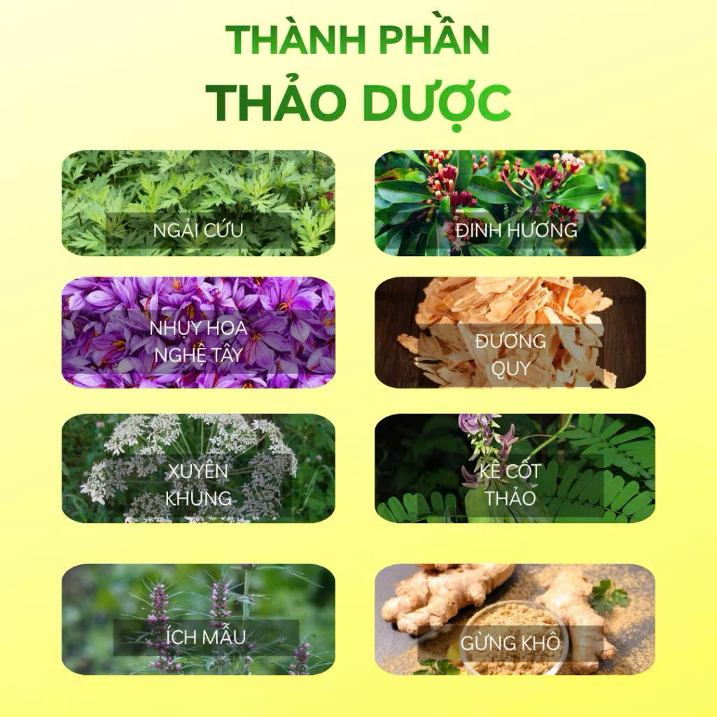 Gối Thảo Dược Chườm Nóng Ngải Cứu – Cải Thiện Tuần Hoàn Máu, Hỗ Trợ Giấc Ngủ Sâu