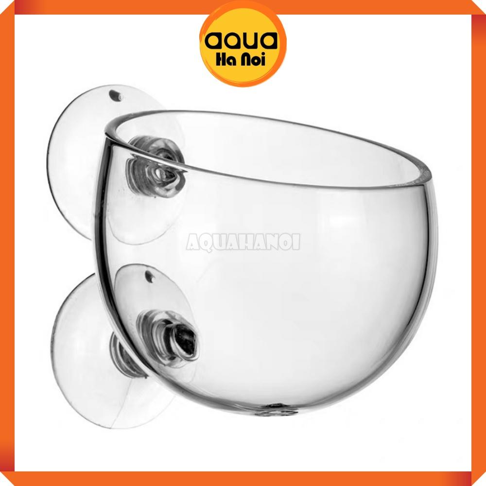 Cốc trồng cây thủy sinh trang trí hồ cá - Cốc thủy tinh Polka đựng phân nền - Tặng kèm cục hít thành hồ