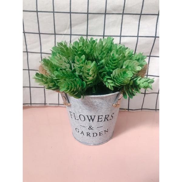 CHẬU CÂY ĐỂ BÀN DECOR XINH XẮN