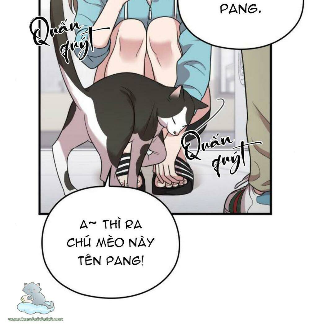 cô đi mà lấy chồng tôi đi chapter 25 109