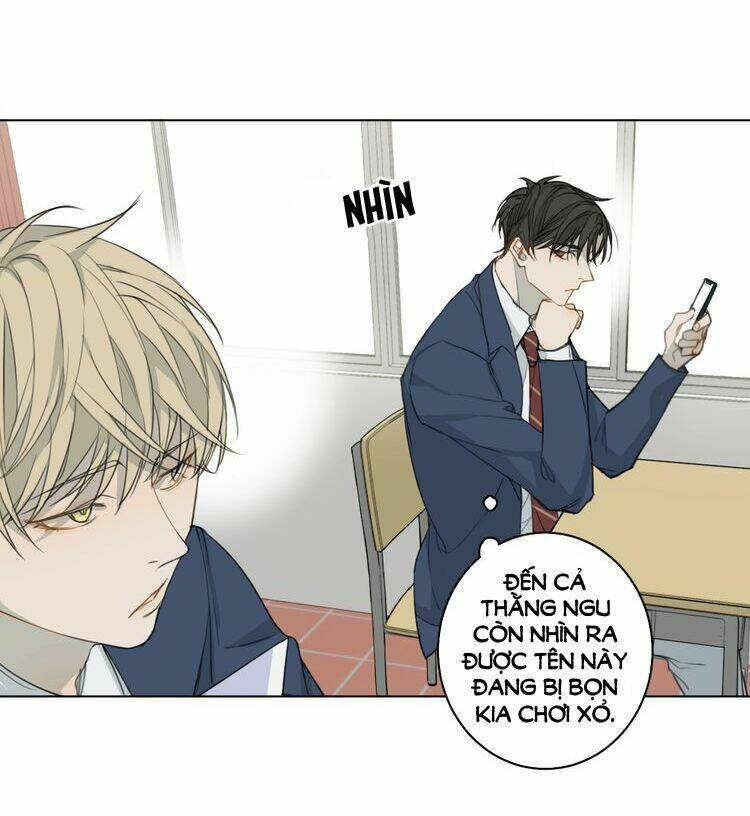 xúc bất khả cập chapter 5 21