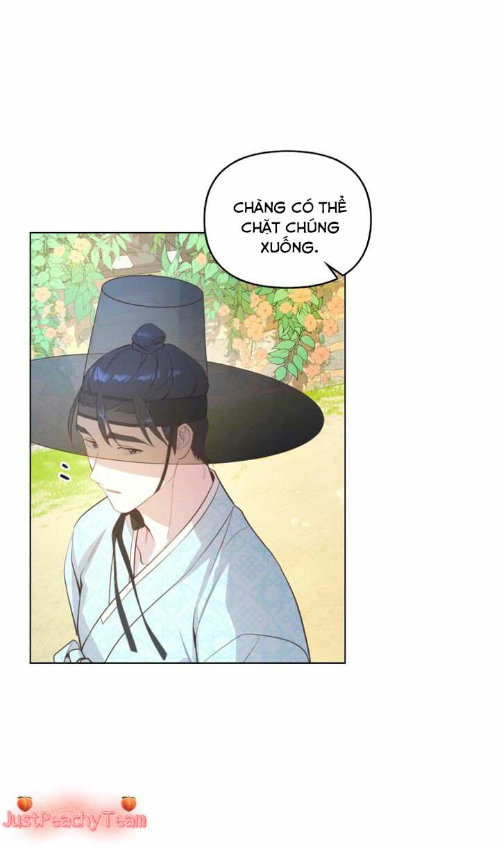 khi những nụ hoa nở rộ chapter 14 3