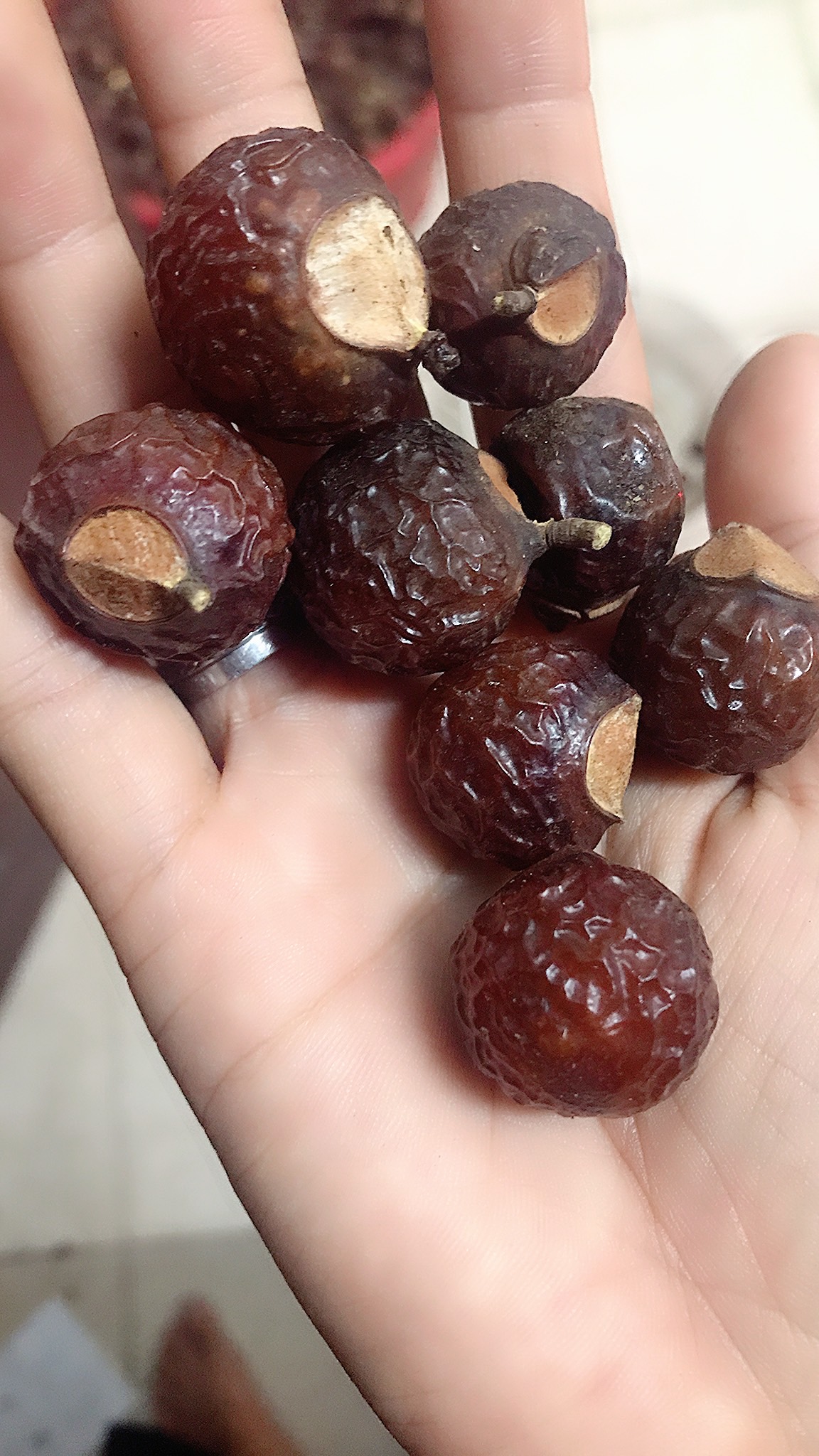 Quả bồ hòn chưa tách hạt 2 Kg