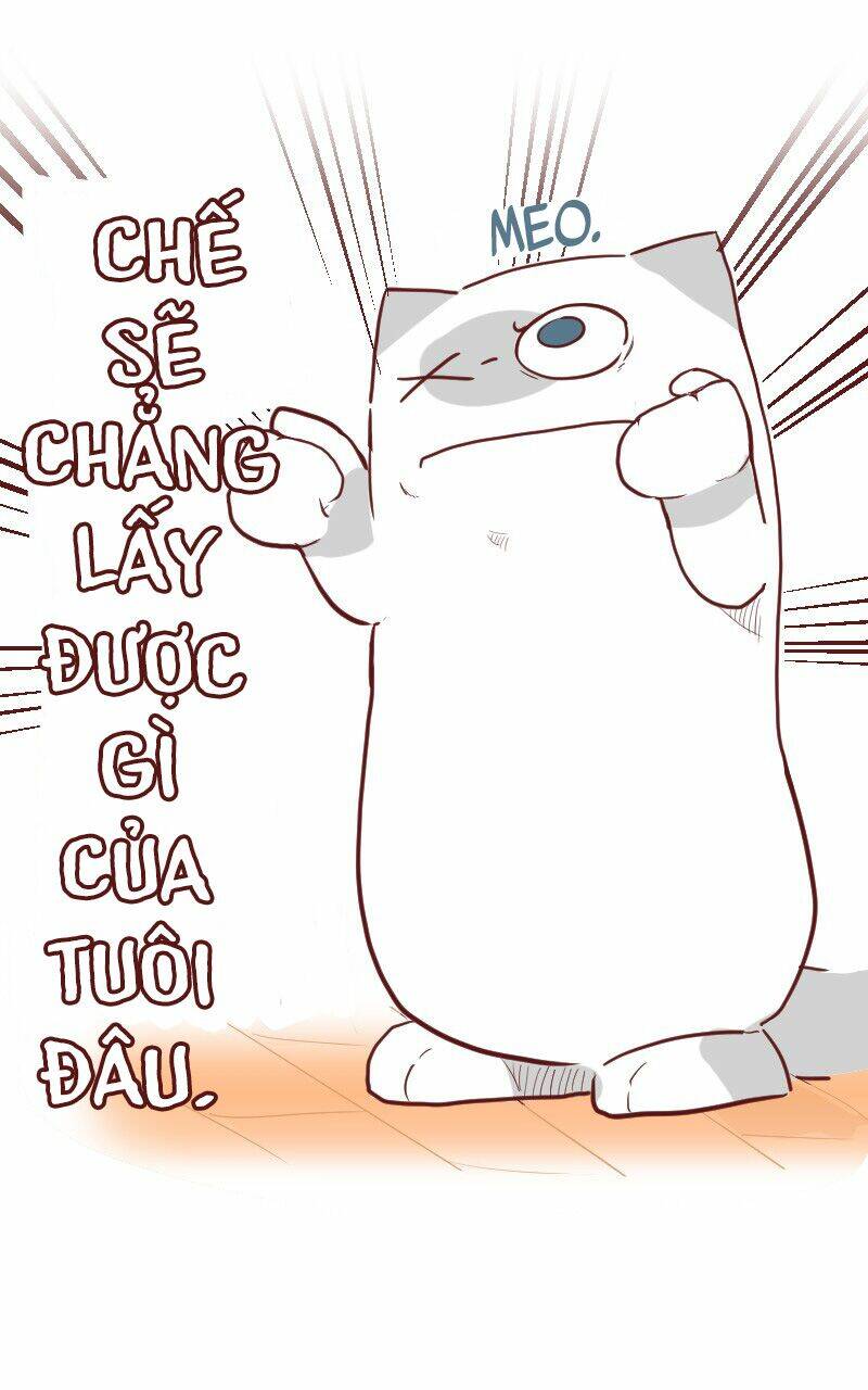 saphie: chú mèo một mắt chapter 23 6