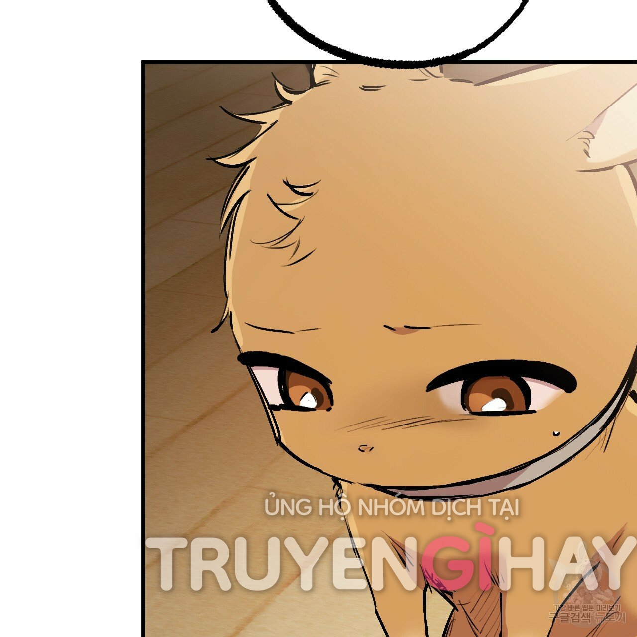 những chú thỏ của hapypy chapter 45 89