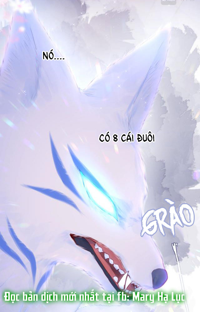 cạm bẫy của hồ ly chapter 1.3 26