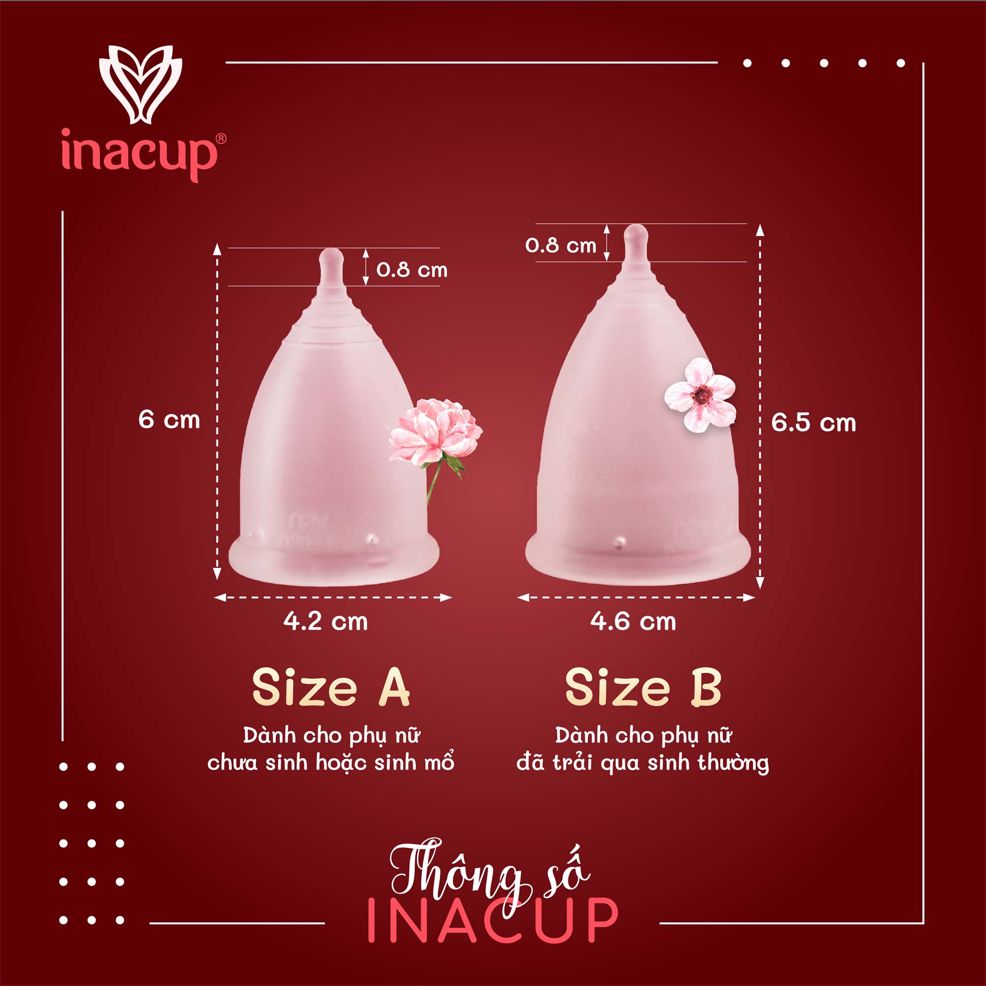 Cốc nguyệt san Inacup Size B 100% Silicone y tế