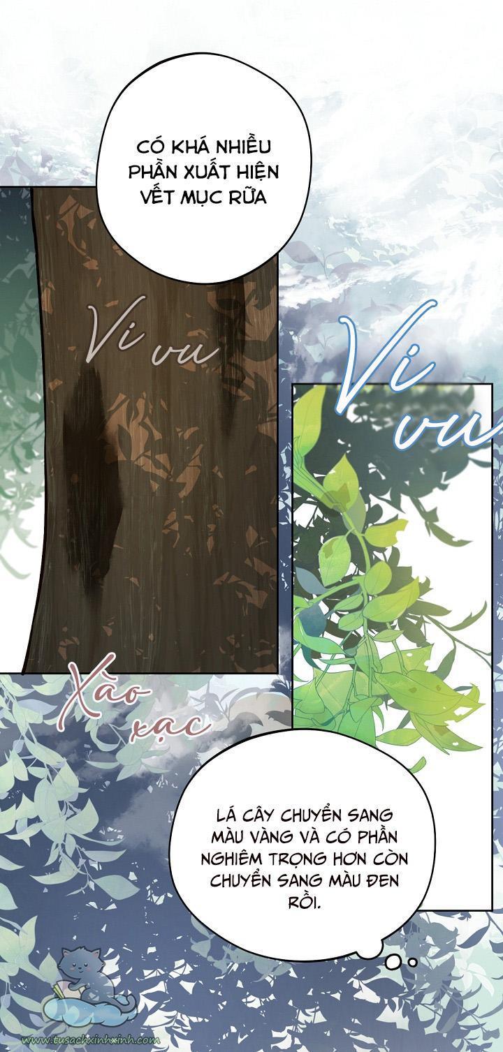 trang trại hạt dẻ cạnh hoàng cung chapter 15 63