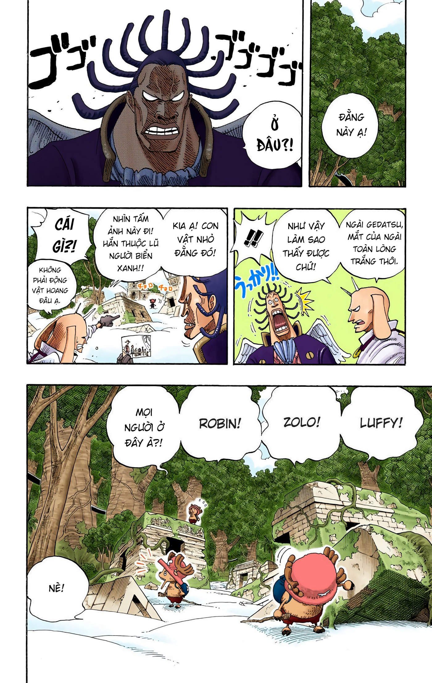 One Piece Color Chapter 261 - Trang 17