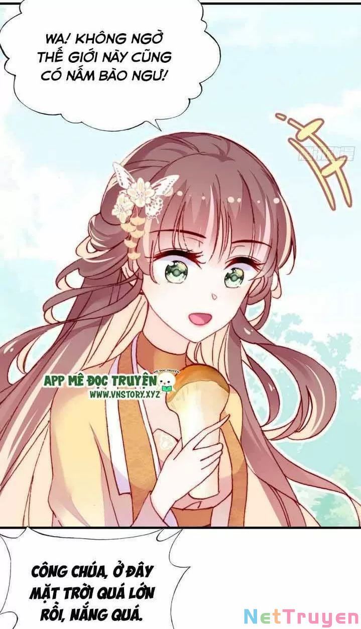 lại bị bệnh chiều chuộng quấn lấy chapter 7 32