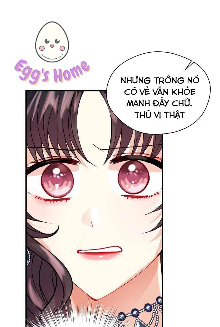 roelin bước đến tương lai chapter 14 50