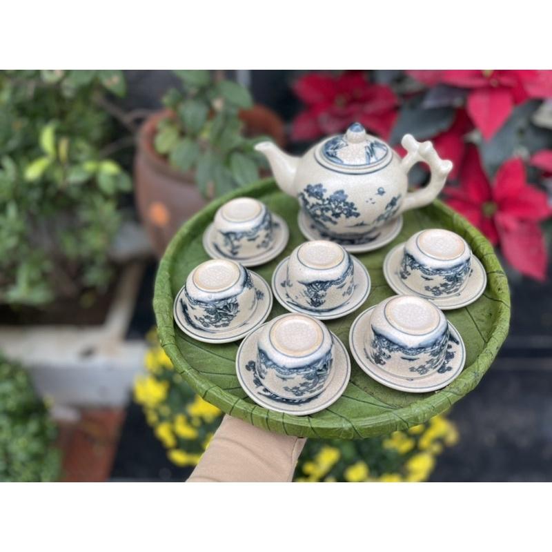 Bộ ấm chén gốc cây