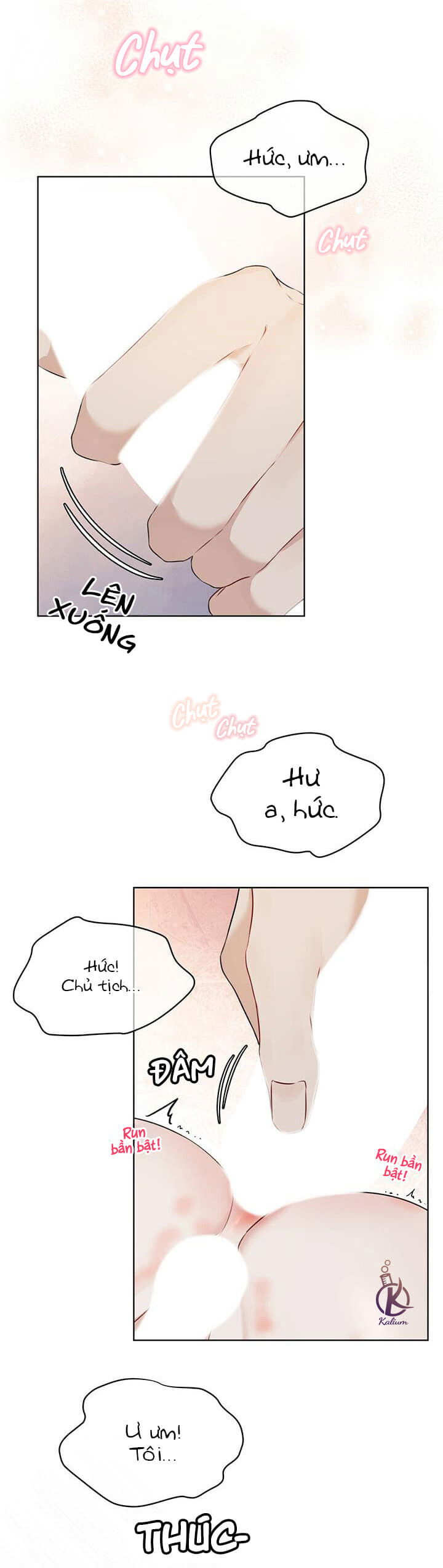 hình thái khởi sinh chapter 29 14