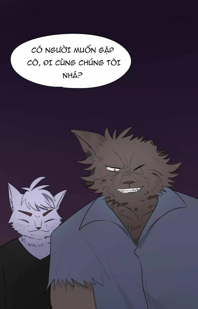 tiểu miêu và hắc diệu thạch chapter 7 35