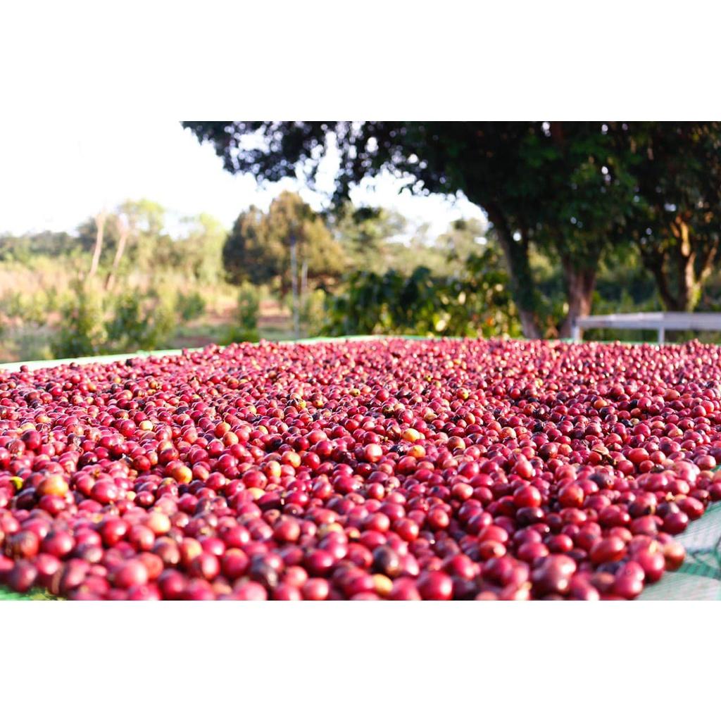 Cà phê túi lọc AZZAN (Arabica - Robusta) / Cà phê tiện lợi cho mùa dịch