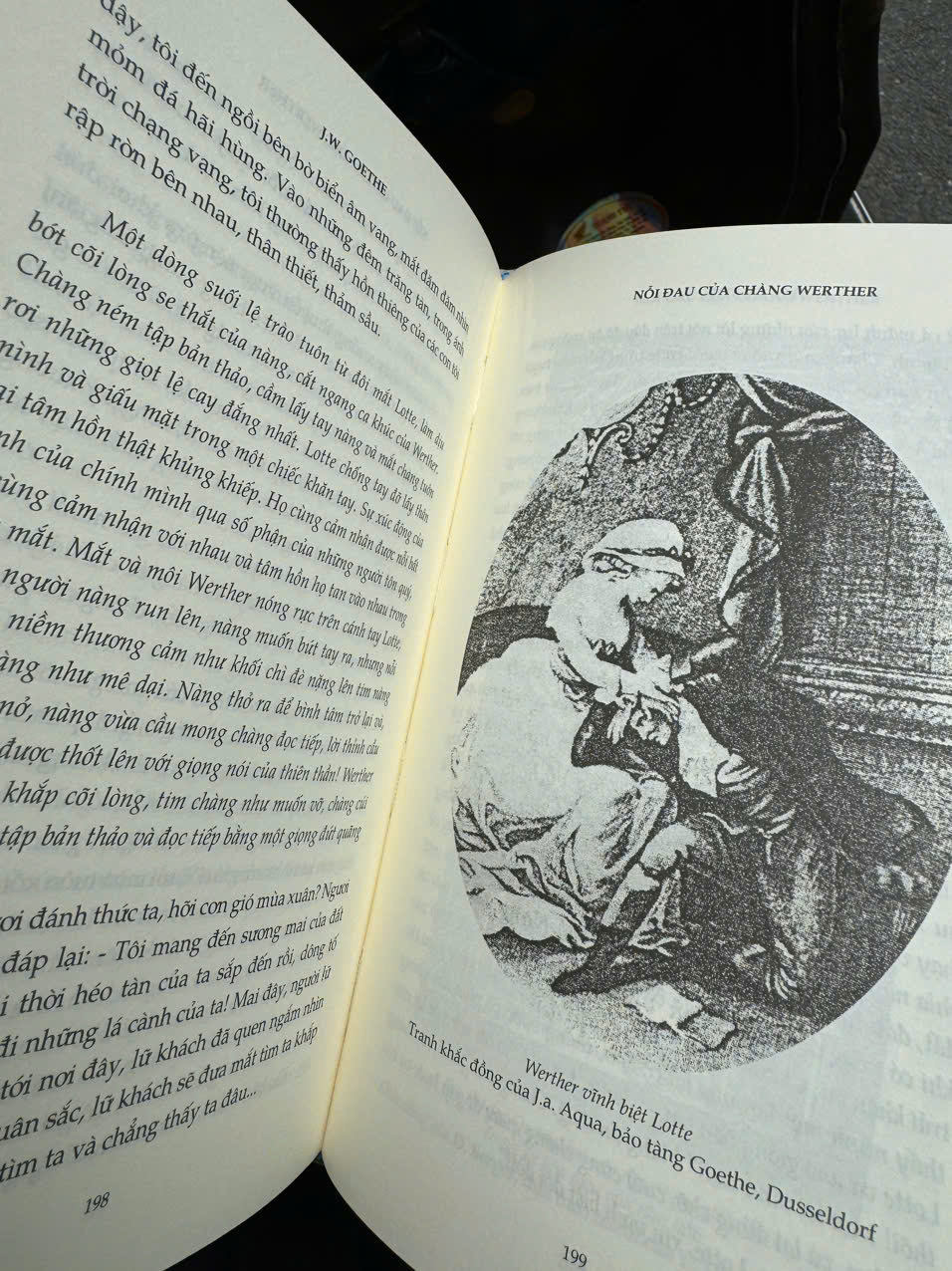 (Bìa cứng) NỖI ĐAU CỦA CHÀNG WERTHER – Johann Wolfgang Von Goethe – Quang Chiến dịch – Nhã Nam – NXB Văn học