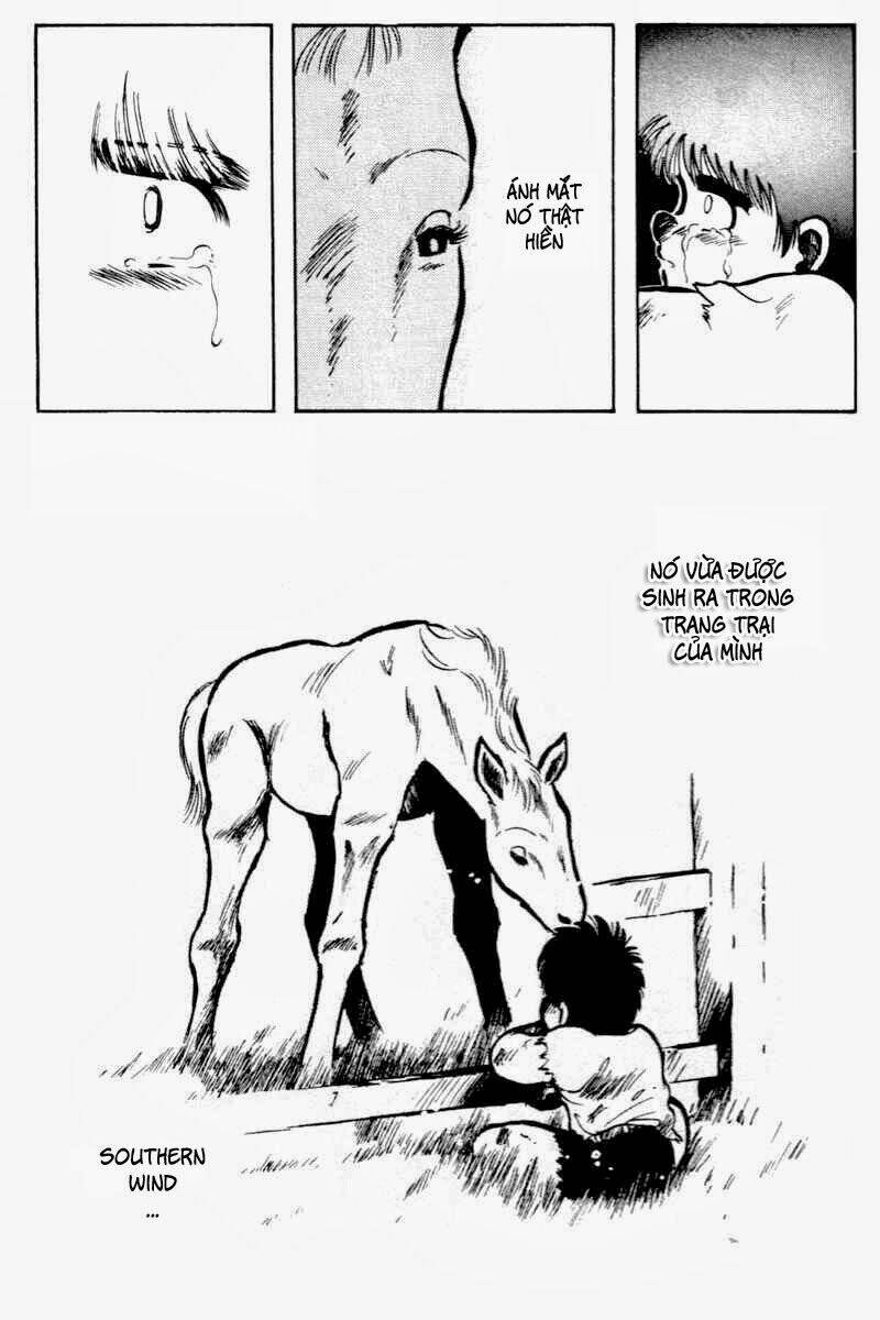 kaze no sylphid - phong mã silphid chapter 1 21